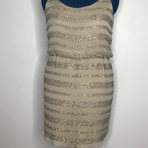 Beautiful Sequined Dress